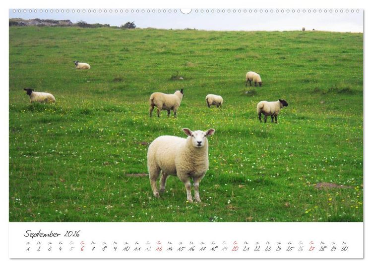 Produktbild: M&auml;rchenhaftes Irland (hochwertiger Premium Wandkalender 2026 DIN A2 quer), Kunstdruck in Hochglanz