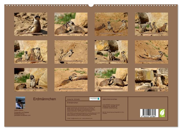 Produktbild: Erdm&auml;nnchen (hochwertiger Premium Wandkalender 2026 DIN A2 quer), Kunstdruck in Hochglanz