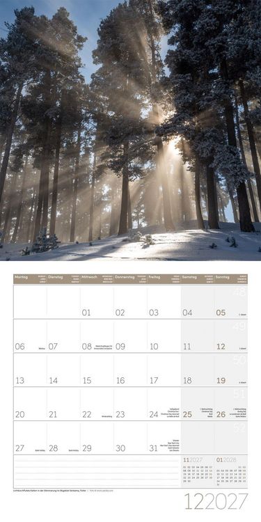 Produktbild: Zauber des Waldes Kalender 2027 - 30x30 - Art12