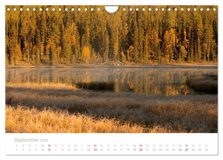 Produktbild: Heimat der Samen (Wandkalender 2026 DIN A4 quer), CALVENDO Monatskalender