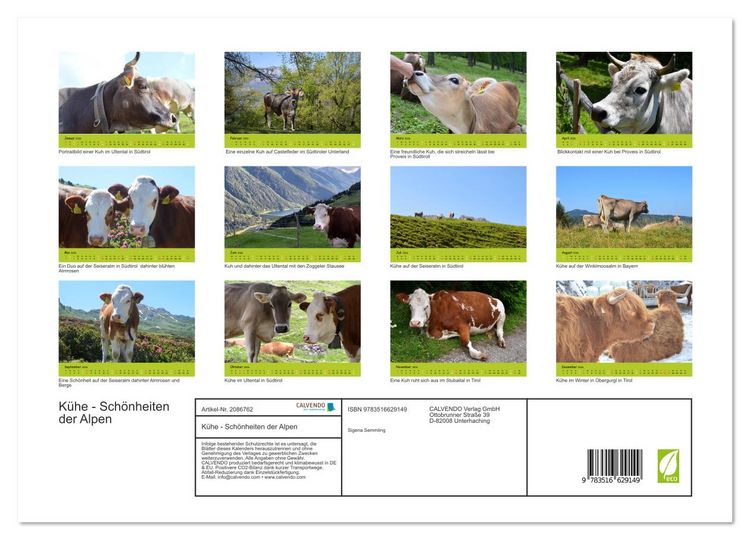 Produktbild: K&uuml;he - Sch&ouml;nheiten der Alpen (Wandkalender 2026 DIN A3 quer), CALVENDO Monatskalender