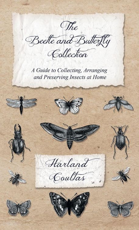 Produktbild: Beetle and Butterfly Collection - A Guide to Collecting, Arranging and Preserving Insects at Home