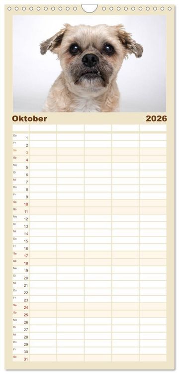 Produktbild: Familienplaner 2026 - Kleine Hunde - Gro&szlig;e Blicke mit 5 Spalten (Wandkalender, 21 x 45 cm) CALVENDO