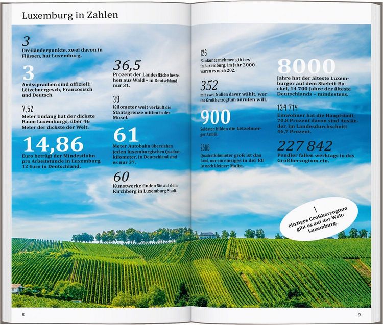 Produktbild: DUMONT direkt Reisef&uuml;hrer Luxemburg