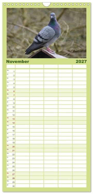Produktbild: Familienplaner 2027 - Tauben in der Stadt mit 5 Spalten (Wandkalender, 21 x 45 cm) CALVENDO