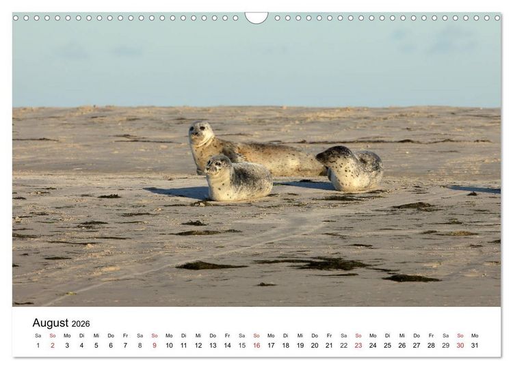Produktbild: Wilde Tiere unserer Heimat (Wandkalender 2026 DIN A3 quer), CALVENDO Monatskalender