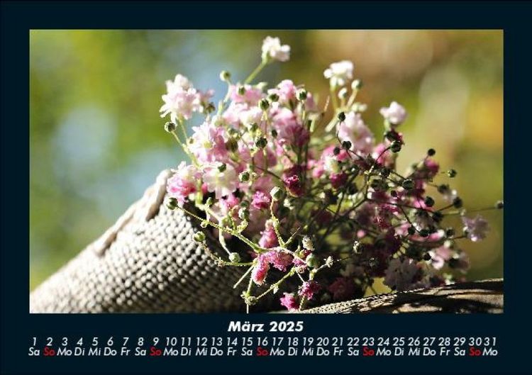 Produktbild: Blumenzauber 2025 Fotokalender DIN A5