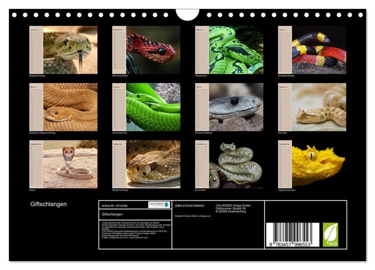 Produktbild: Giftschlangen (Wandkalender 2026 DIN A4 quer), CALVENDO Monatskalender