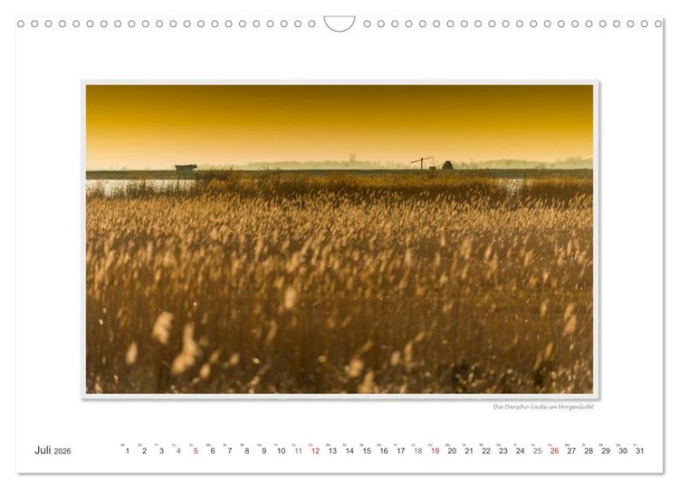 Produktbild: Neusiedler See / CH-Version (Wandkalender 2026 DIN A3 quer), CALVENDO Monatskalender