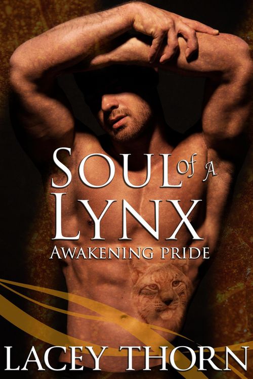 Produktbild: Soul of a Lynx (Awakening Pride, #12)