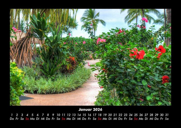 Produktbild: Blumenzauber 2026 Fotokalender DIN A3