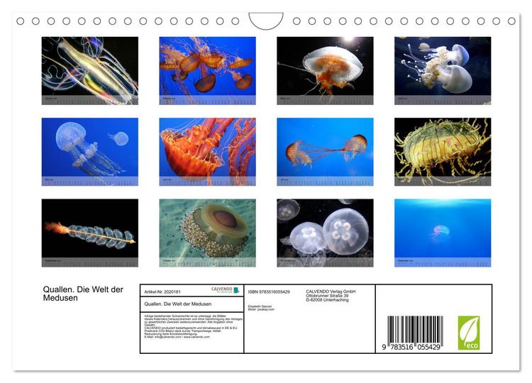 Produktbild: Quallen. Die Welt der Medusen (Wandkalender 2026 DIN A4 quer), CALVENDO Monatskalender