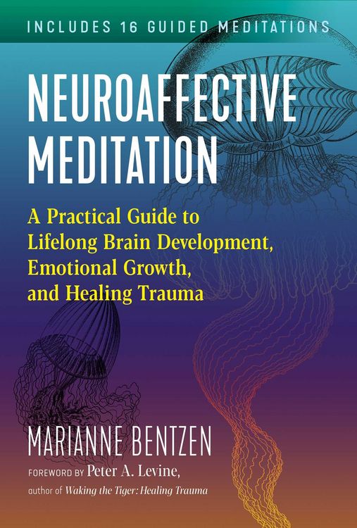Produktbild: Neuroaffective Meditation