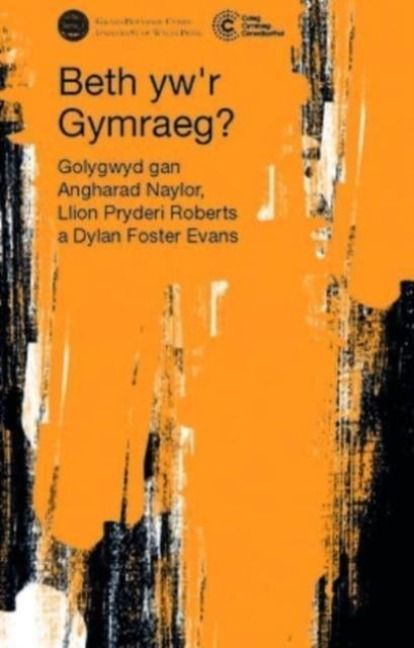 Produktbild: Beth yw'r Gymraeg?