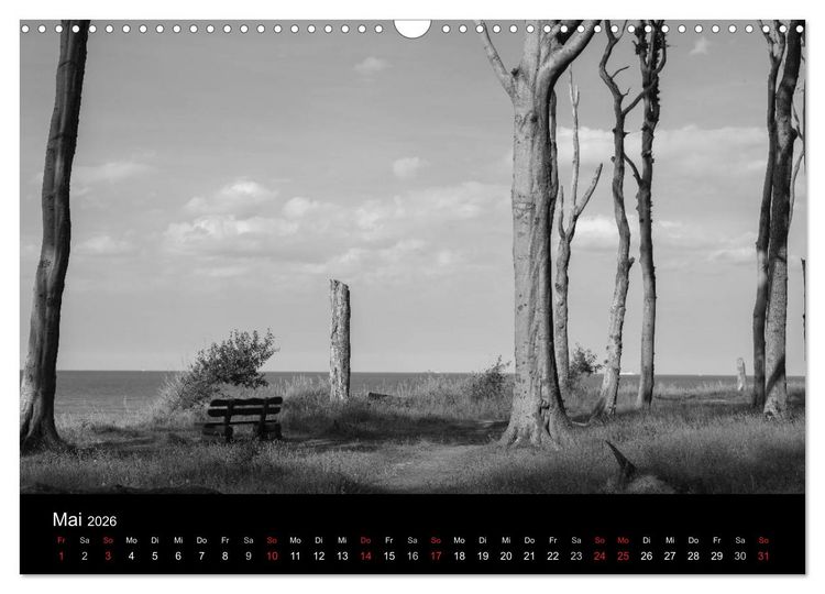 Produktbild: B&auml;ume trees 2026 (Wandkalender 2026 DIN A3 quer), CALVENDO Monatskalender