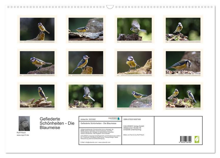 Produktbild: Gefiederte Sch&ouml;nheiten - Die Blaumeise (Wandkalender 2026 DIN A2 quer), CALVENDO Monatskalender