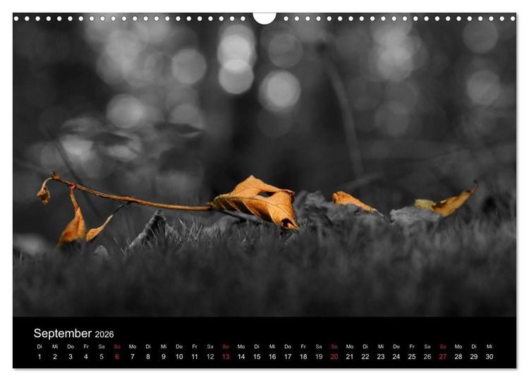 Produktbild: schwarz/wei&szlig; trifft farbe (Wandkalender 2026 DIN A3 quer), CALVENDO Monatskalender