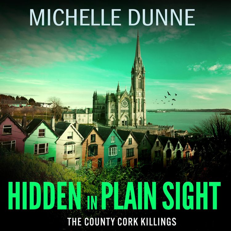 Produktbild: Hidden in Plain Sight