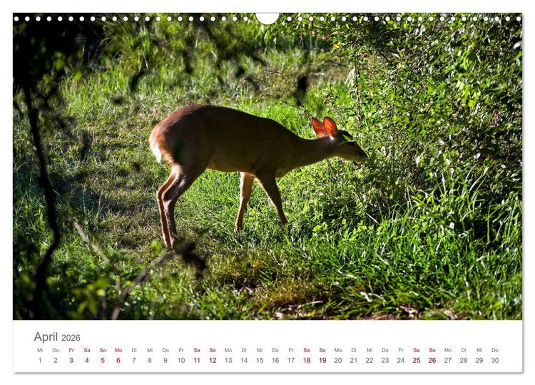 Produktbild: Faszinierendes Argentinien (Wandkalender 2026 DIN A3 quer), CALVENDO Monatskalender