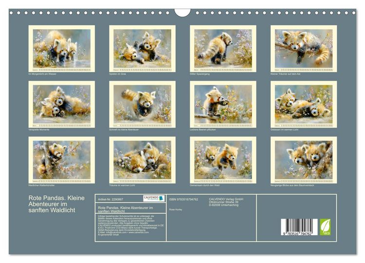 Produktbild: Rote Pandas. Kleine Abenteurer im sanften Waldlicht (Wandkalender 2027 DIN A3 quer), CALVENDO Monatskalender