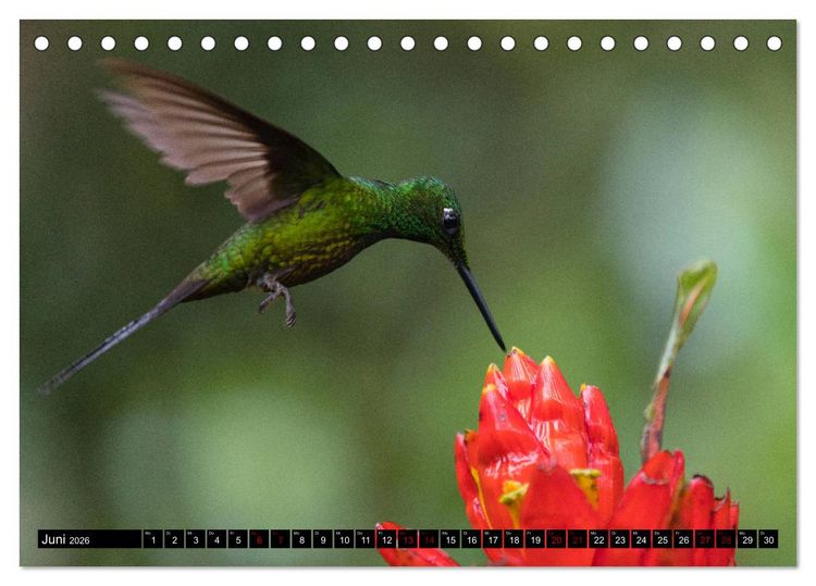 Produktbild: Traumwelt Ecuador (Tischkalender 2026 DIN A5 quer), CALVENDO Monatskalender