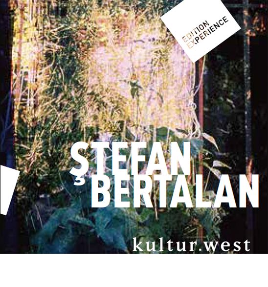 Produktbild: Stefan Bertalan. Visuelle Strukturen 1960-2000