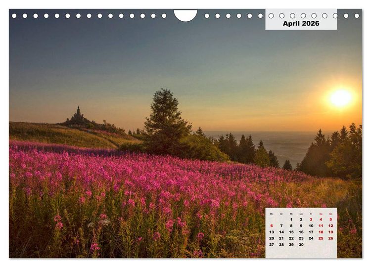 Produktbild: Rh&ouml;ner R&ouml;schen - ein Sommerm&auml;rchen in der Hochrh&ouml;n (Wandkalender 2026 DIN A4 quer), CALVENDO Monatskalender