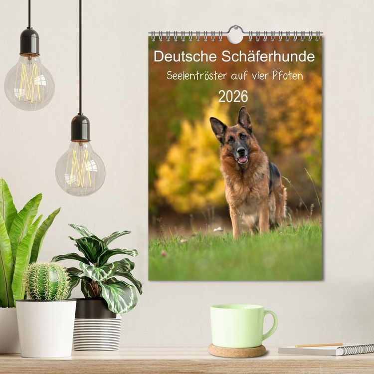 Produktbild: Deutsche Sch&auml;ferhunde - Seelentr&ouml;ster auf vier Pfoten (Wandkalender 2026 DIN A4 hoch), CALVENDO Monatskalender