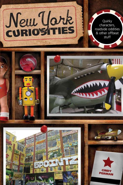 Produktbild: New York Curiosities