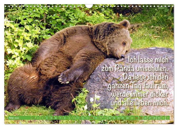 Produktbild: Spa&szlig; mit B&auml;ren: Edition lustige Tiere (Wandkalender 2026 DIN A3 quer), CALVENDO Monatskalender