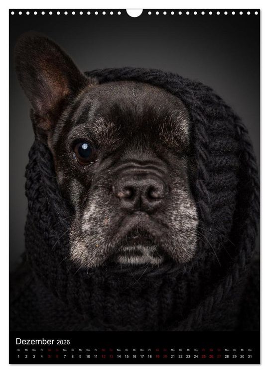 Produktbild: Bullyzauber - Franz&ouml;sische Bulldoggen (Wandkalender 2026 DIN A3 hoch), CALVENDO Monatskalender