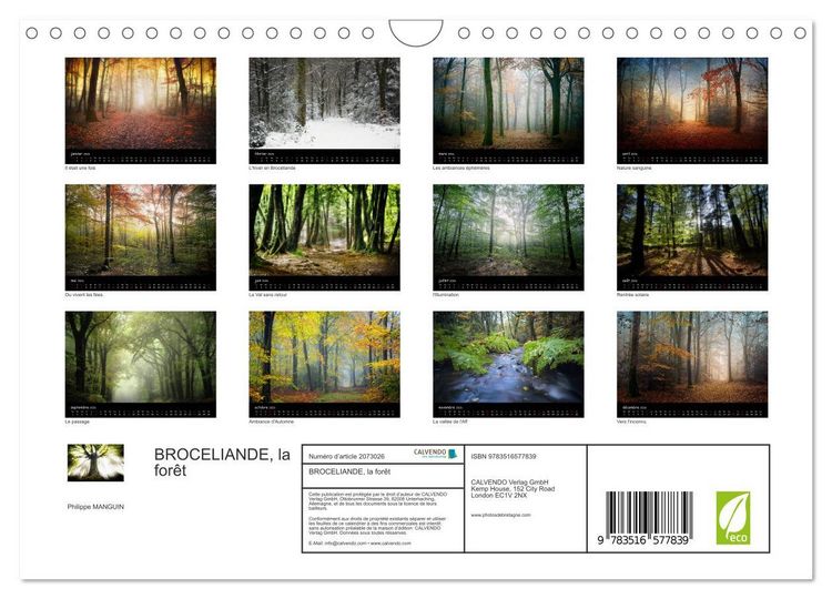 Produktbild: BROCELIANDE, la for&ecirc;t (Calendrier mural 2026 DIN A4 vertical), CALVENDO calendrier mensuel
