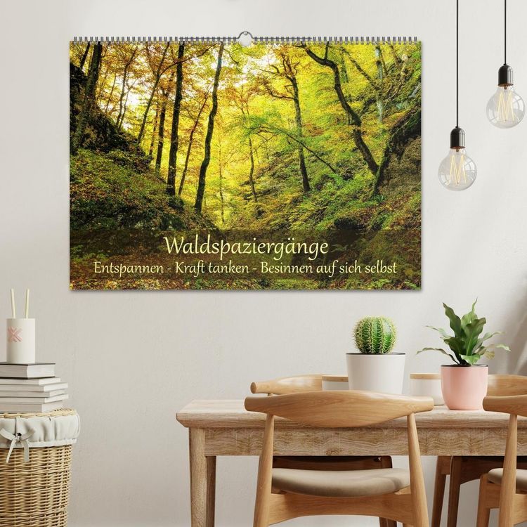 Produktbild: Waldspazierg&auml;nge: Entspannen - Kraft tanken - Besinnen auf sich selbst (Wandkalender 2027 DIN A2 quer), CALVENDO Monatskalender