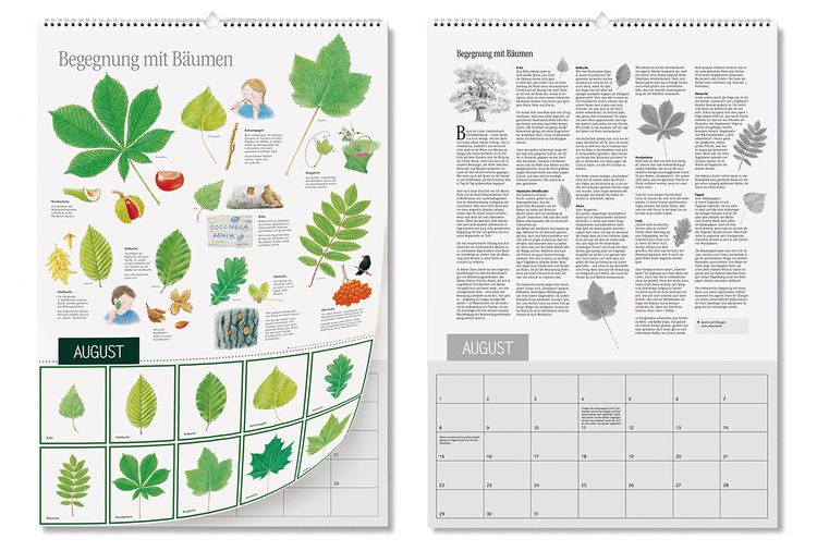 Produktbild: Natur erleben durch das Jahr - 2
