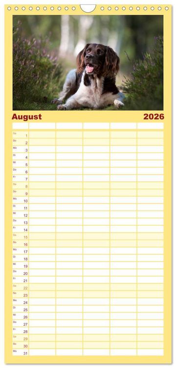 Produktbild: Familienplaner 2026 - Passion Jagdhund - Kleiner M&uuml;nsterl&auml;nder mit 5 Spalten (Wandkalender, 21 x 45 cm) CALVENDO