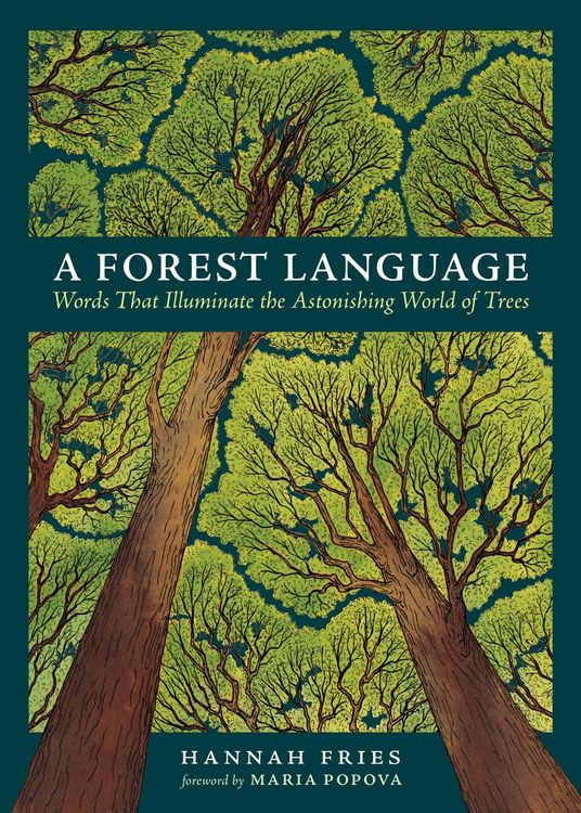 Produktbild: A Forest Language