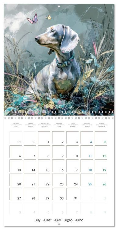 Produktbild: Dachshunds Illustrations - A hunter with humorous nature (Wall Calendar 2026 12 &times; 12 Inch) CALVENDO 12 Month Wall Calendar