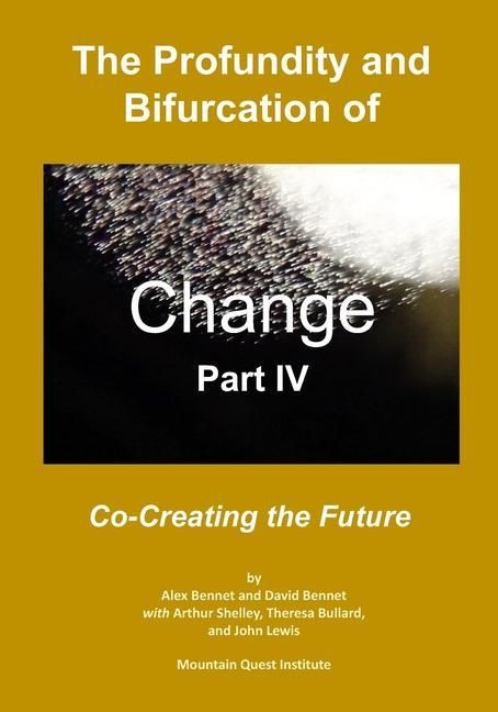 Produktbild: The Profundity and Bifurcation of Change Part IV