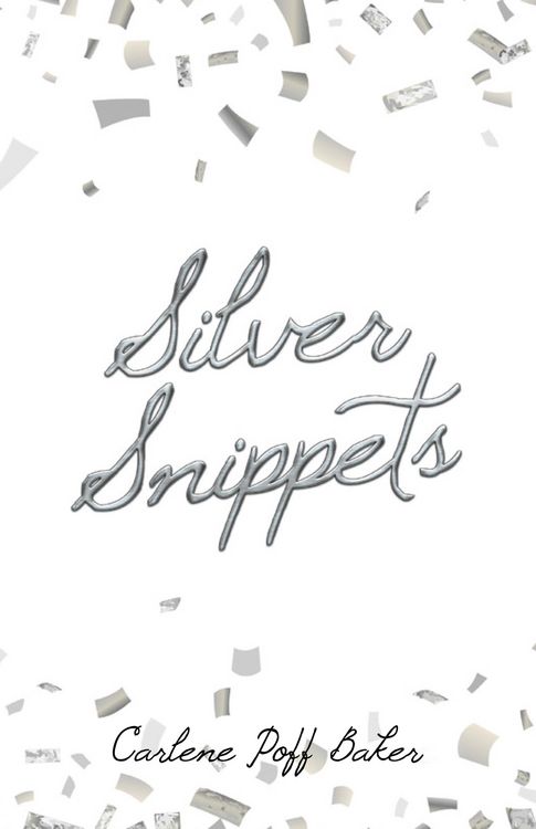Produktbild: Silver Snippets