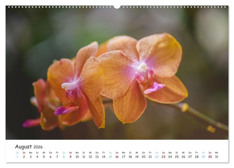 Produktbild: Im Schatten der Orchidee (Wandkalender 2026 DIN A2 quer), CALVENDO Monatskalender