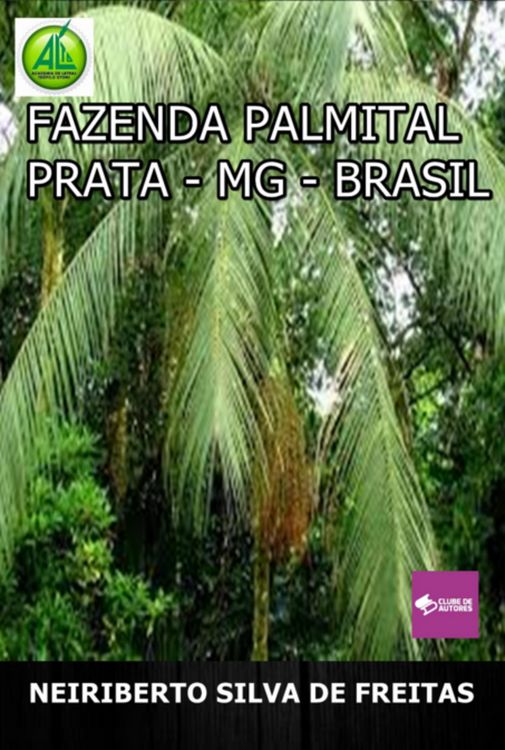 Produktbild: Fazenda Palmital Prata-mg-brasil