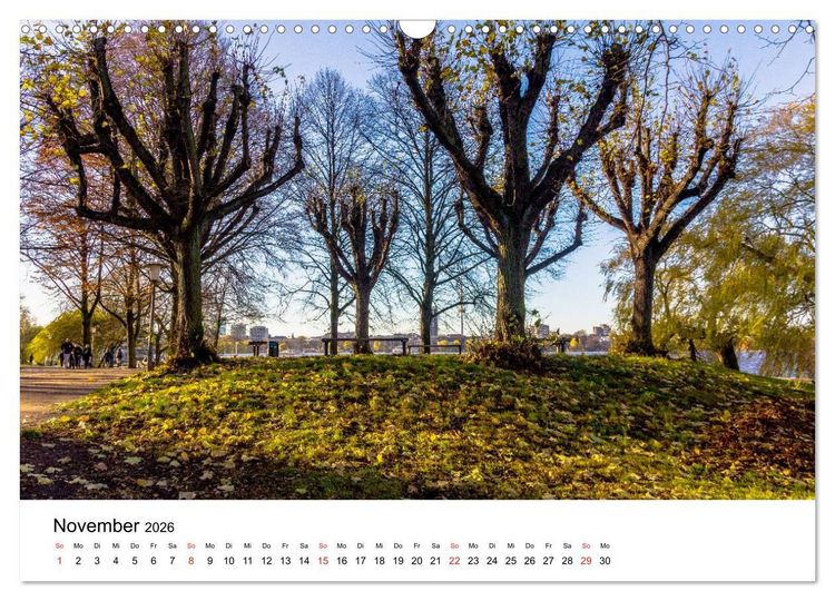 Produktbild: Gr&uuml;nes Hamburg (Wandkalender 2026 DIN A3 quer), CALVENDO Monatskalender