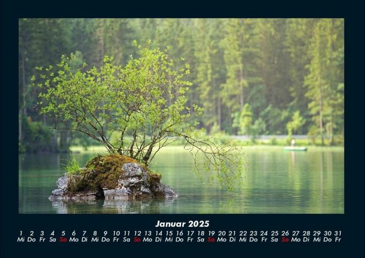 Produktbild: B&auml;ume 2025 Fotokalender DIN A4