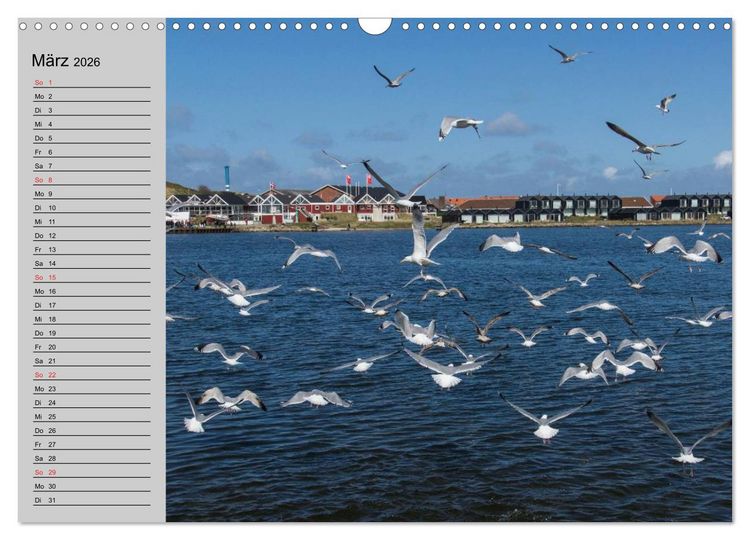Produktbild: D&auml;nemark - Umgebung von Hvide Sande (Wandkalender 2026 DIN A3 quer), CALVENDO Monatskalender