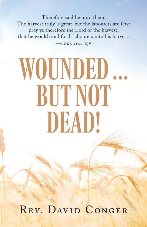 Produktbild: Wounded ... But Not Dead!