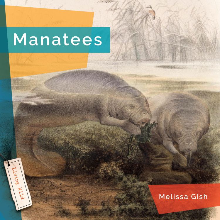 Produktbild: Manatees