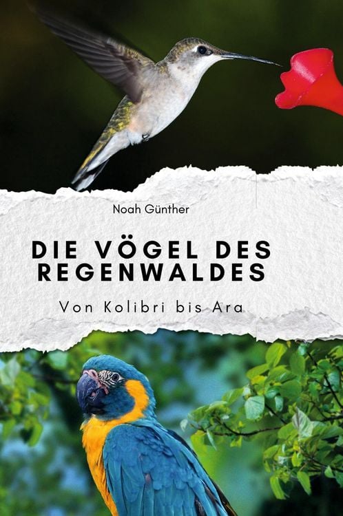 Produktbild: Die V&ouml;gel des Regenwaldes