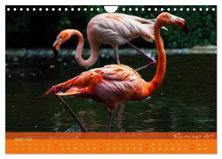 Produktbild: Flamingo Art 2026 (Wandkalender 2026 DIN A4 quer), CALVENDO Monatskalender