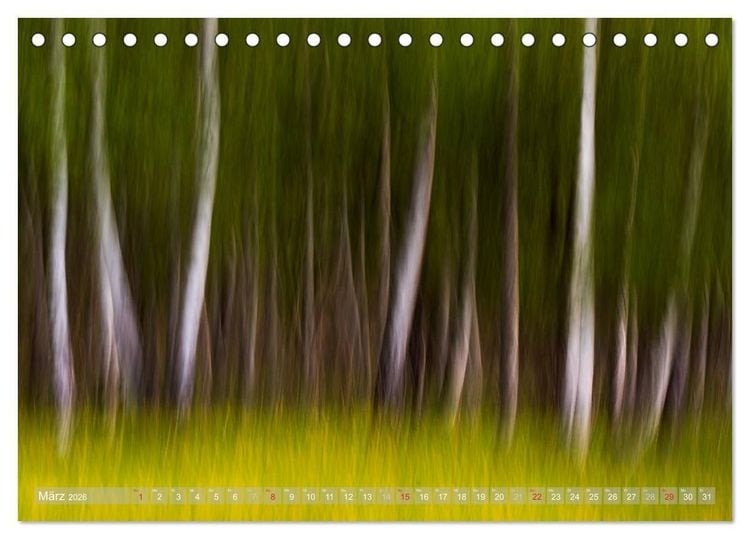 Produktbild: Atelier Wald - gemalt mit Licht (Tischkalender 2026 DIN A5 quer), CALVENDO Monatskalender