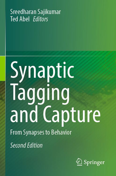 Produktbild: Synaptic Tagging and Capture